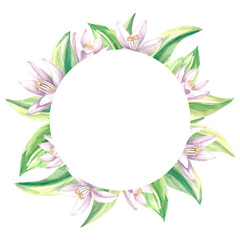 Round frame of citrus green leaves and white flowers. Summer botanical template with copy space. Isolated hand drawn illustration for cards and invitation, making stickers, print packaging, textile