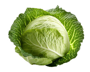 cabbage isolated on transparent background
