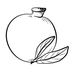 drawing of a doodle grenade with a leaf vector