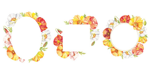 Watercolor colorful poppies. Wild flower frames isolated on transparent background. Hand painting illustration for interior decoration, textile printing, printed issues, invitation and greeting cards