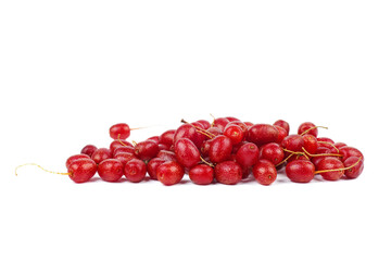 Red sea buckthorn.Shepherdia.Buffaloberry.Red berry isolated on white background.