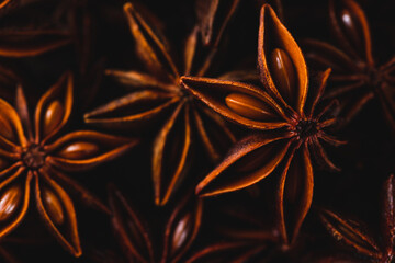Stars of star anise macrophotography