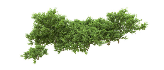 Obraz premium Green forest isolated on background. 3d rendering - illustration