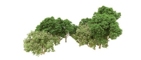 Green forest isolated on background. 3d rendering - illustration