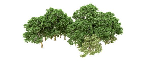 Green forest isolated on background. 3d rendering - illustration