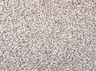 dry and shelled sunflower seeds full screen