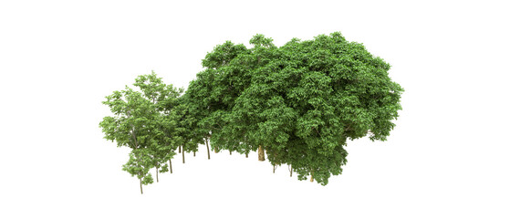 Green forest isolated on background. 3d rendering - illustration