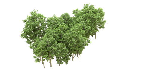 Obraz premium Green forest isolated on background. 3d rendering - illustration