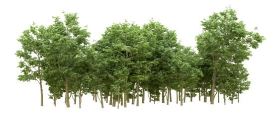 Afwasbaar Fotobehang Pistache Green forest isolated on background. 3d rendering - illustration