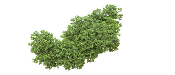Obraz premium Green forest isolated on background. 3d rendering - illustration