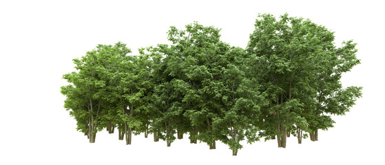 Obraz premium Green forest isolated on background. 3d rendering - illustration