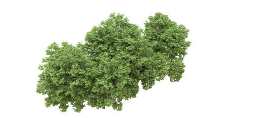 Obraz premium Green forest isolated on background. 3d rendering - illustration