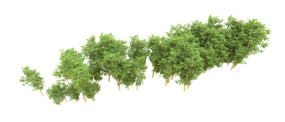 Green forest isolated on background. 3d rendering - illustration