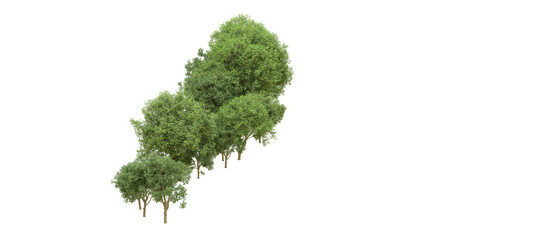 Green forest isolated on background. 3d rendering - illustration