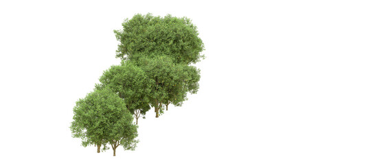 Fototapeta premium Green forest isolated on background. 3d rendering - illustration