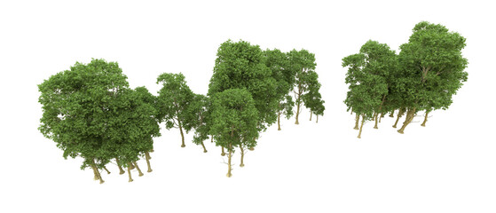 Green forest isolated on background. 3d rendering - illustration