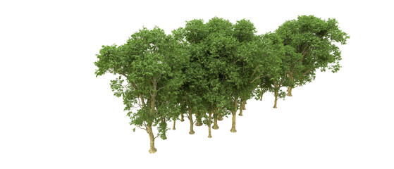 Obraz premium Green forest isolated on background. 3d rendering - illustration