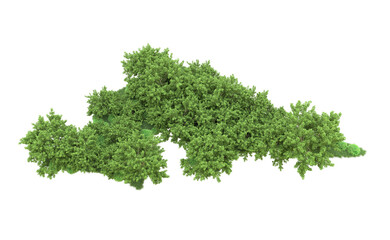 Obraz premium Green forest isolated on background. 3d rendering - illustration