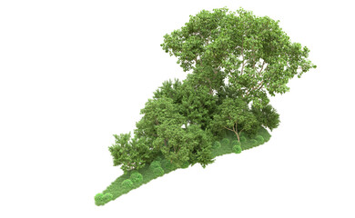 Fototapeta premium Green forest isolated on background. 3d rendering - illustration