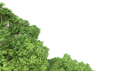 Fototapeta premium Green forest isolated on background. 3d rendering - illustration