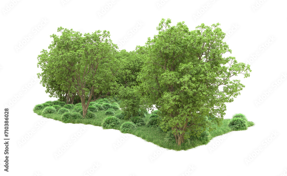 Wall mural Green forest isolated on background. 3d rendering - illustration