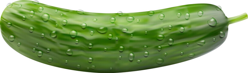 Realistic raw cucumber vegetable whole veggie with water drops. Isolated 3d vector crisp and refreshing veg, bursts with hydration. Its green skin encases a crunchy texture and mild flavor