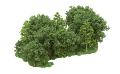 Green forest isolated on background. 3d rendering - illustration
