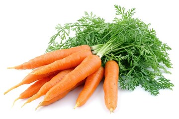 A bunch of fresh carrots with green tops, isolated on a white background