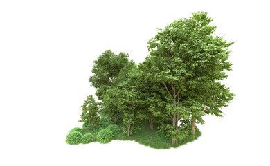 Obraz premium Green forest isolated on background. 3d rendering - illustration