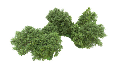 Obraz premium Green forest isolated on background. 3d rendering - illustration