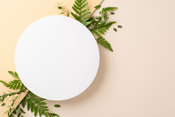 Nature tenderness concept. Top view photo of empty circle surrounded by branches of eucalyptus and...