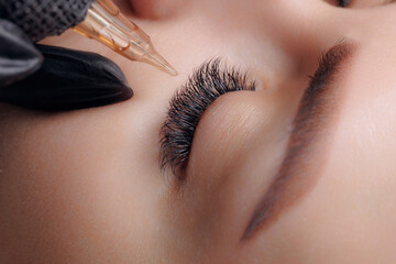 Procedure permanent makeup tattoo eyeliner on eye of beautiful woman - obrazy, fototapety, plakaty