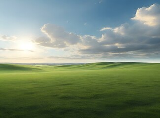 Fototapeta premium green grass and blue sky