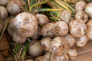organic white onions on  market place
