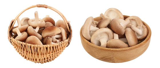 Fresh Shiitake mushroom in a wicker basket isolated on white background with full depth of field.