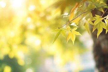 green leaves transitioning to yellow in sunlight - obrazy, fototapety, plakaty