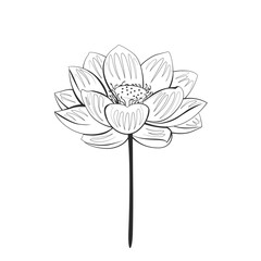 Outline lotus flower isolated on white background. Cartoon flat illustration. Vector simple icons. 