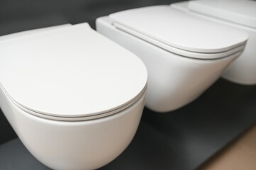 toilet bowls in the store