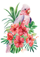 Tropical bird watercolor illustration hand drawn cockatoo parrot, summer flowers, palm leaf, isolated white background. 