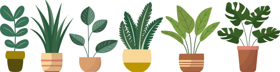 plants in flowerpots, indoor plants in flat style vector