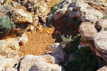 Close up big rock and sand with green grassy desert plants