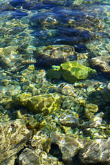 Close up crystal clear blue sea water with coral ocean stone reef underneath