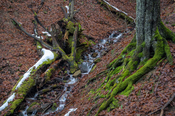 moss on the rocks, stream on mountains