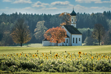 Chapel in the Bavarian foothills of the Alps with sunflowers in the foreground