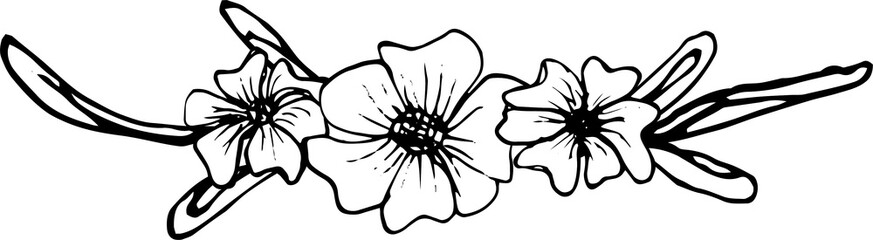 Flower decorative element illustration on transparent background.
