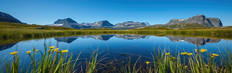 Fototapeta premium Flowering grass against the background of the lake and mountains
