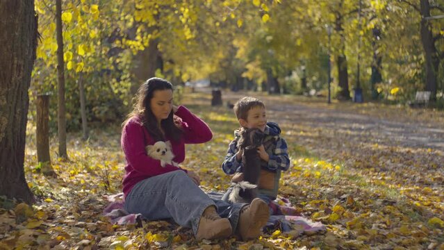 A family plays with dogs sitting on a leaf in an autumn park. Happy mother and son hug pets and kiss. High quality 4k footage