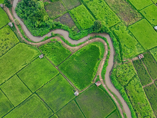 Aerial view of lush green rice field with small winding canal. Sustainable agriculture landscape. Sustainable rice farming. Rice cultivation. Green landscape. Organic farming. Sustainable land use.