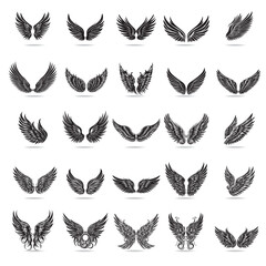 Fototapeta na wymiar A collection of classic, modern and celtic-style vector wings