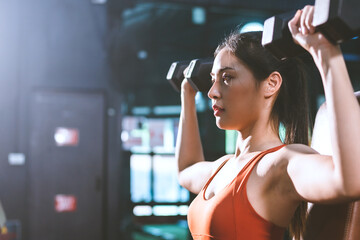 A Beautiful Confident muscular Asian athlete female is lifting a dumbbell in gym or fitness to...
